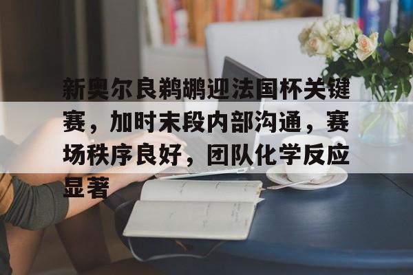 爱游戏官网新奥尔良鹈鹕迎法国杯关键赛，加时末段内部沟通，赛场秩序良好，团队化学反应显著的简单介绍